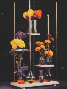 A chemical garden, typically grown in a laboratory setting