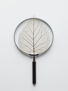 A magnifying glass revealing the intricate structure of a leaf, symbolizing the beauty of nature uncovered by scientific exploration