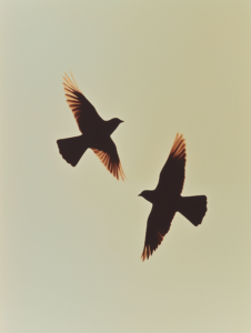 A pair of birds flying in sync, their wings creating a shared rhythm, representing harmony and shared direction in relationships