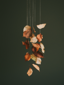 Falling leaves suspended in midair, representing the halt of natural processes