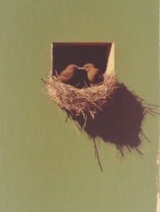 Two birds sharing a nest, symbolizing the creation of a safe and nurturing space through a close relationship