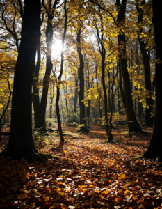 A tranquil autumn forest with golden and amber leaves carpeting the ground, sunlight filtering softly through the trees